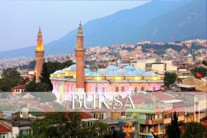 bursa